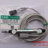 YG100R(CKD)SCPD2-L00-10-30