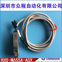 KH5-M655A-A0X YV100IIлվŴ