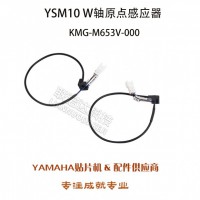 YSM10 WԭӦ KMG-M653V-000